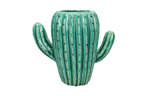 Cactus Vaas