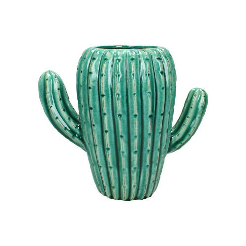 Cactus Vaas