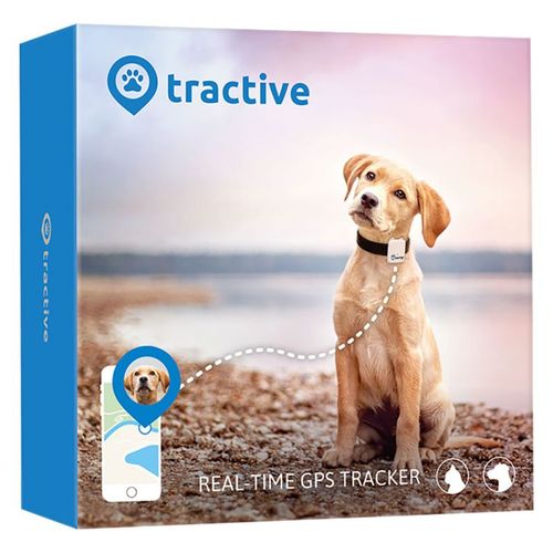 Tractive GPS Tracker Hond